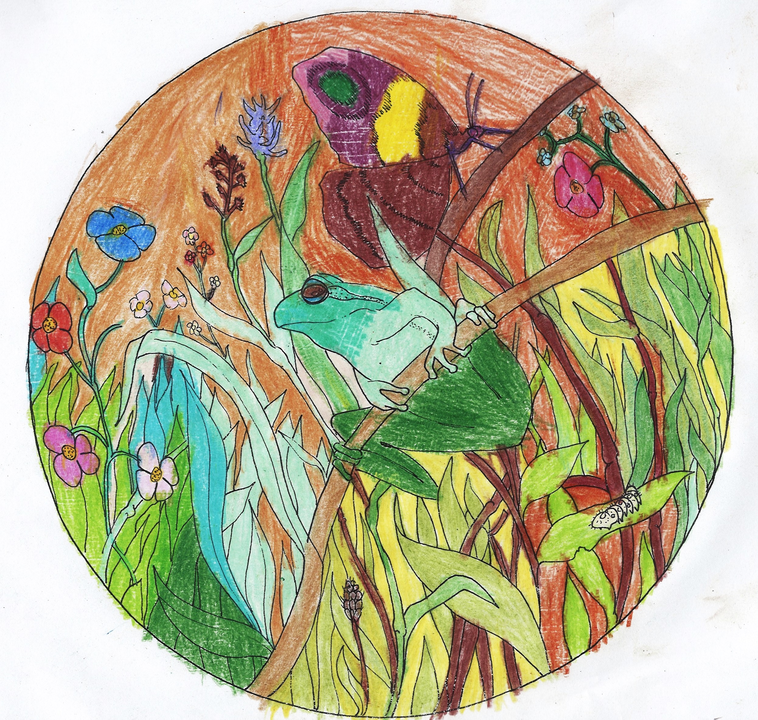 Praca w formie kolorowanki, okrągła w kształcie. W okręgu, na głównym planie przedstawiona zielona żaba siedząca na gałązce. Powyżej, siedzący na innej gałązce motyl ze skrzydłami w kolorach brązowym, fioletowym i żółtym. Poniżej po prawej stronie na liściu narysowana stonoga.  W tle kolorowe kwiaty i zielona trawa. Całość obrazka znajduje się na ciemnopomarańczowym tle. 