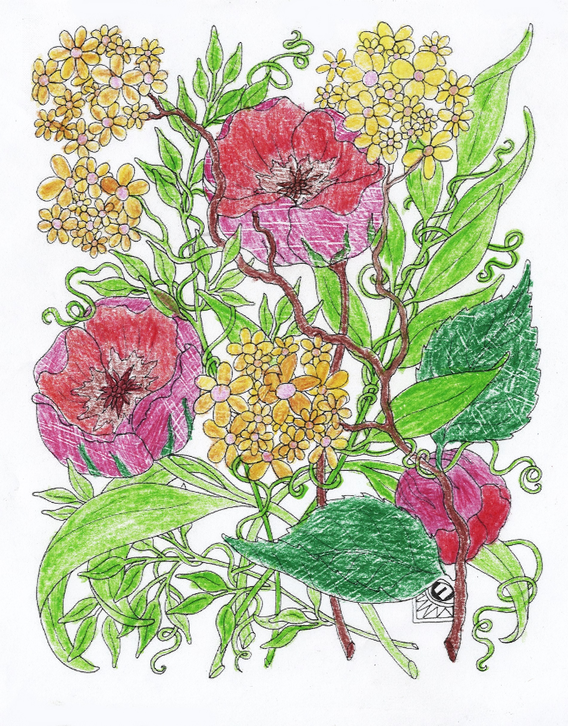 Praca plastyczna w formie kolorowanki przedstawiająca kolorowe kwiaty w otoczeniu zielonych liści. Kwiaty mają kolor żółty i różowy. Przypominają stokrotki i peonie.