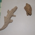 Nasze prace - rzeźba krokodyla i królika