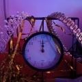 IMG20241231123427 (Copy)
